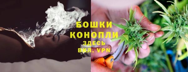 сатива Белокуриха