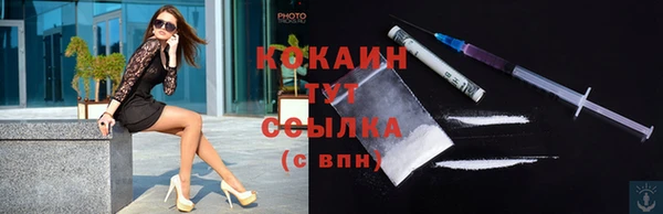 сатива Белокуриха