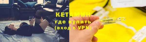 сатива Беломорск
