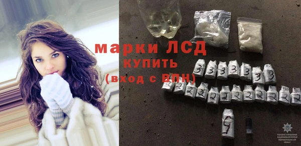 сатива Беломорск