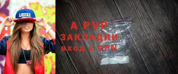 молекула духа Богородск