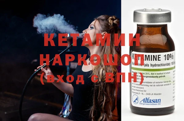 сатива Белокуриха