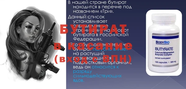 сатива Беломорск