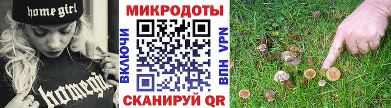магазин продажи   Боготол  Псилоцибиновые грибы мицелий 