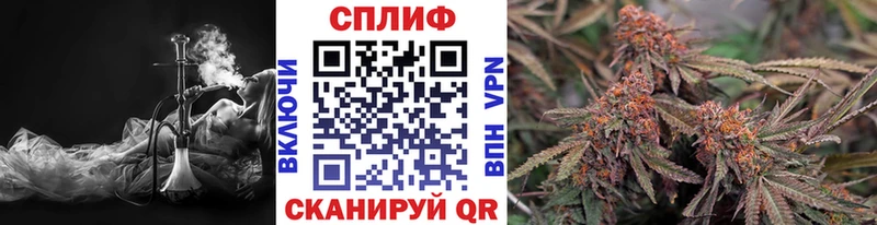 Марихуана сатива  даркнет сайт  Боготол 